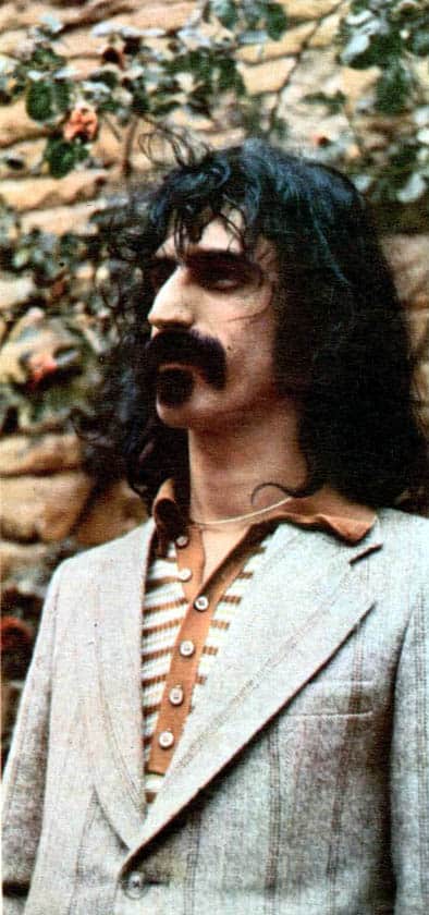 portrait of frank zappa