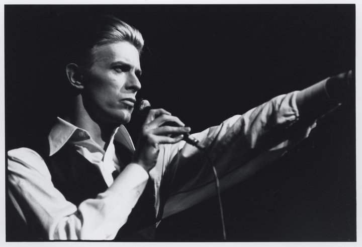 thin white duke